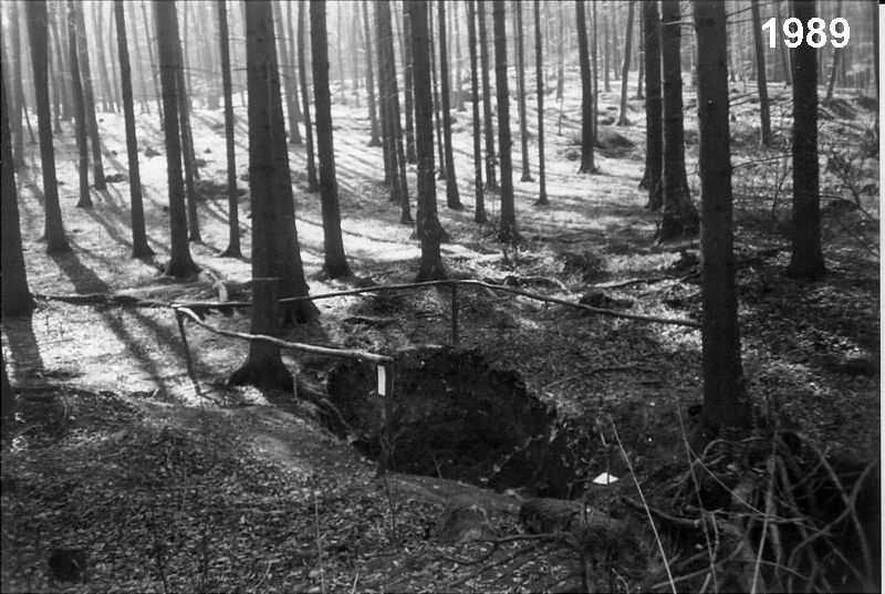 Novodvorský ponor - jeskyně Ponorný hrádek.