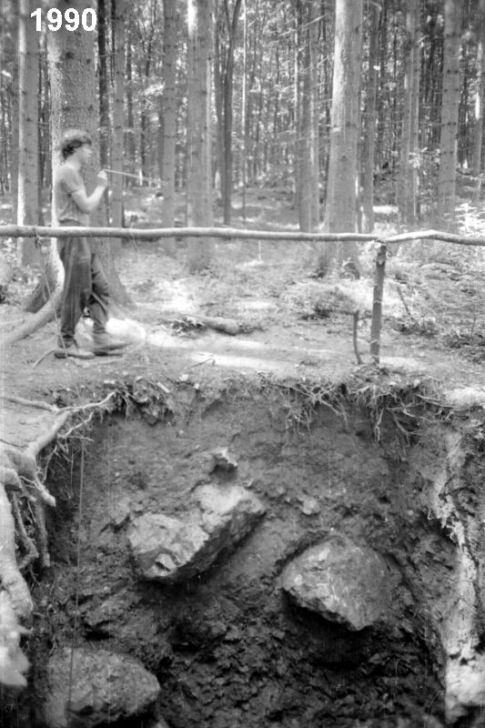 Novodvorský ponor. 