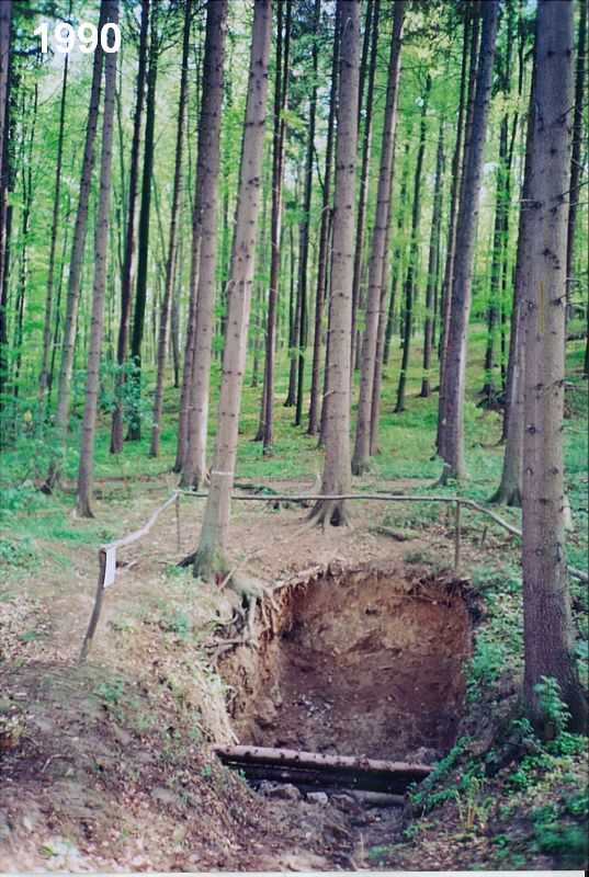 Novodvorský ponor - jeskyně Ponorný hrádek. 