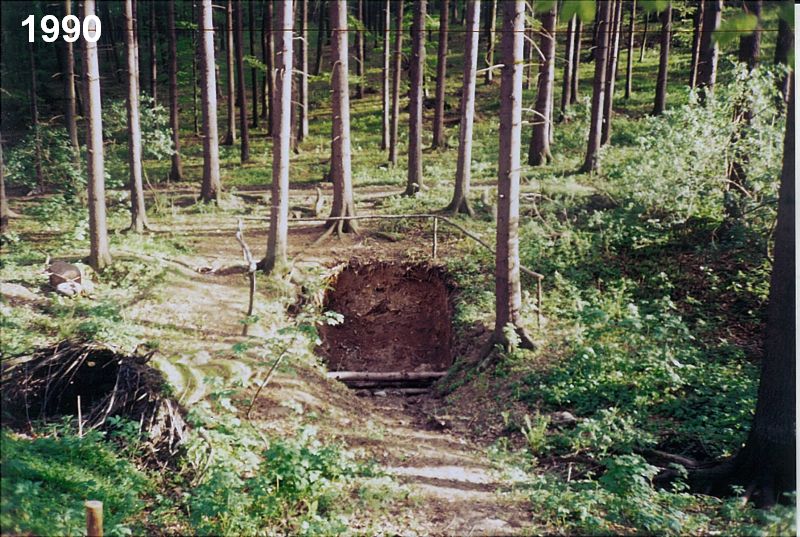 Novodvorský ponor - jeskyně Ponorný hrádek. 