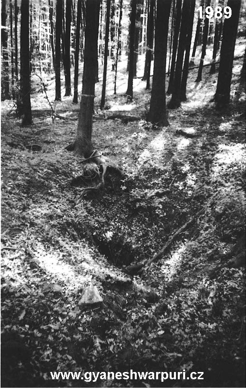 Novodvorský ponor - jeskyně Ponorný hrádek.