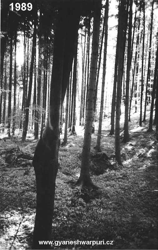 Novodvorský ponor - jeskyně Ponorný hrádek.