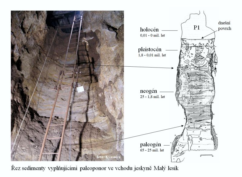 Malý lesík - řez sedimenty Propástky paleoponoru. Archiv: Petr Kos.